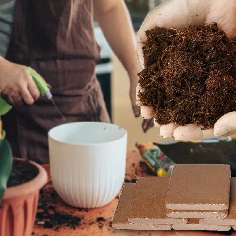 EcoGrow Coconut Coir Pellets – Thrive Naturally